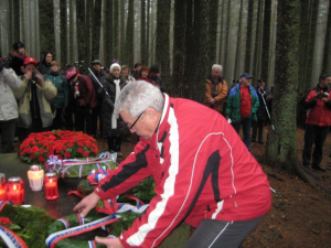 OSANKARICA 2011